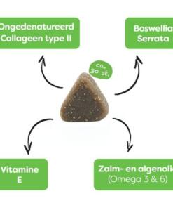 Sanimal Soepele gewrichten 6 Sanimal Soepele Gewrichten