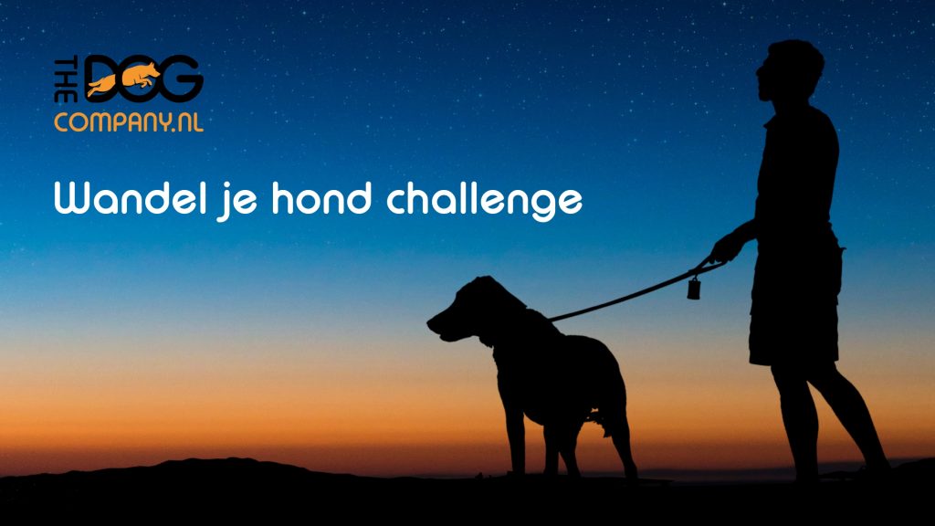 Zo doe je mee met de Wandel je Hond Challenge 1 Wandel je hond challenge