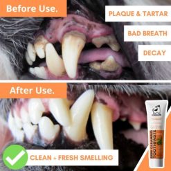DogsLife Dental Kit