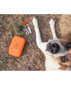 Dogslife Emergency Kit 14 Dogslife Emercency Kit