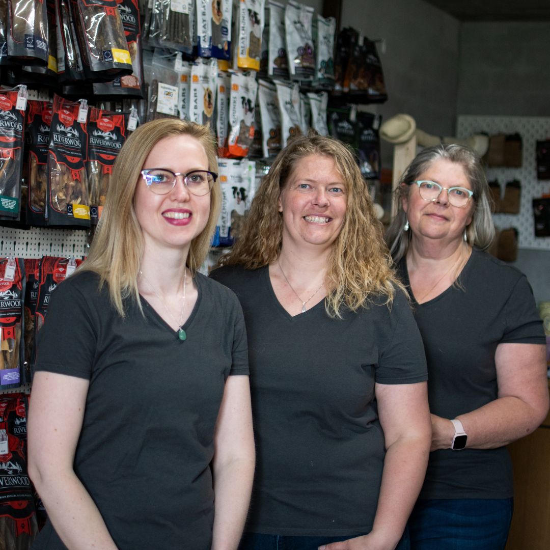 Team The Dog Company The Dog Company