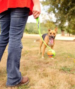 Chuckit Ultra Ball 2-pack 20 Chuckit Ultra Ball 2-pack - Chuckit - Bal voor hond 2 stuks