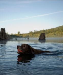 Chuckit Ultra Ball 2-pack 15 Chuckit Ultra Ball 2-pack - Chuckit - Bal voor hond 2 stuks