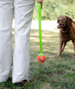 Chuckit Ultra Ball 2-pack 14 Chuckit Ultra Ball 2-pack - Chuckit - Bal voor hond 2 stuks