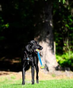 Chuckit Ultra Duo Tug - Chuckit - Dubbele bal met touw voor hond