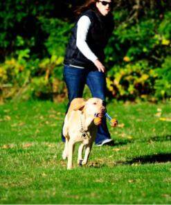 Chuckit Ultra Duo Tug - Chuckit - Dubbele bal met touw voor hond