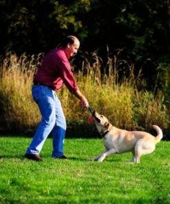 Chuckit Ultra Duo Tug - Chuckit - Dubbele bal met touw voor hond
