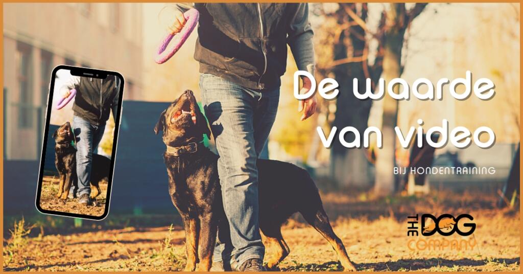 De waarde van video bij hondentraining
