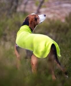 JumppaPomppa sweater 23 Lime - JumppaPomppa