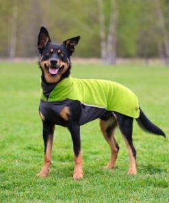 JumppaPomppa sweater 22 Lime - JumppaPomppa