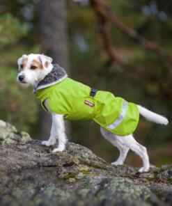 PerusPomppa alledaagse jas 29 PerusPomppa Lime