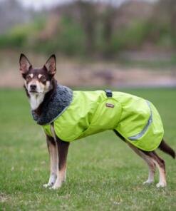 PerusPomppa alledaagse jas 30 PerusPomppa Lime