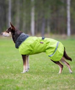 PerusPomppa alledaagse jas 31 PerusPomppa Lime