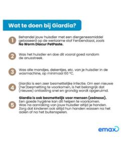 Wat te doen bij Giardia