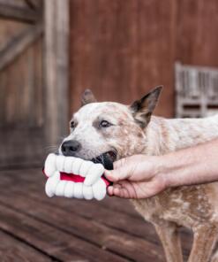 Barkeys BIte P.L.A.Y. Halloween speelgoed voor de hond Westway Studio PLAY 091819 122 scaled