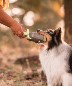 Ghoulish Grave 19 Ghoulish Grave