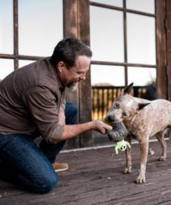 Ghoulish Grave 17 Ghoulish Grave