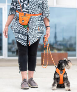 Go Explore Treat Bag 20 Go Explore Treat Bag