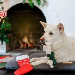 Good Dog Stocking