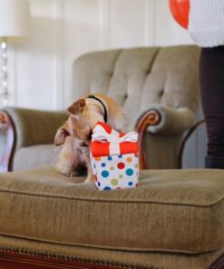 Pawfect Present 21 Pawfect Present