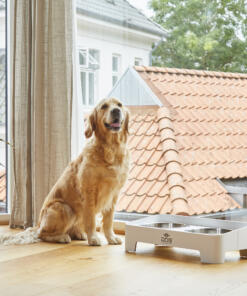 Skagen Food Bar 66 Skagen Food Bar