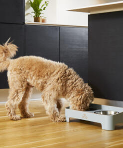 Skagen Food Bar 74 Skagen Food Bar