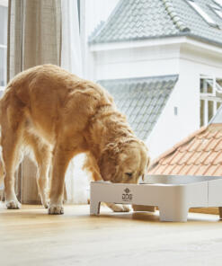 Skagen Food Bar 72 Skagen Food Bar