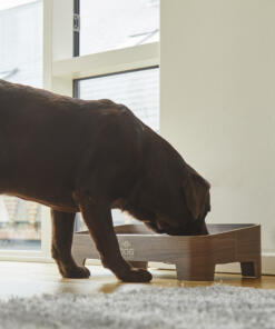 Skagen Food Bar 71 Skagen Food Bar