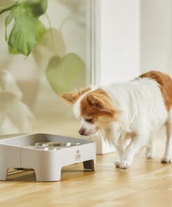 Skagen Food Bar 70 Skagen Food Bar