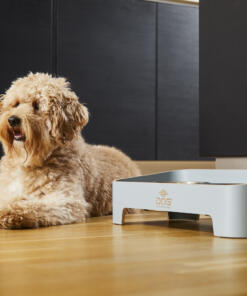 Skagen Food Bar 69 Skagen Food Bar