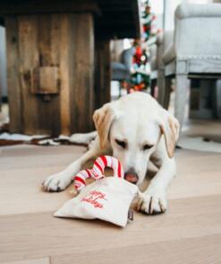 Candy Canes 15 Candy Canes