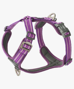 Comfort Walk Air tuig 3.0 40 Comfort Walk Air tuig 3.0 Purple Passion