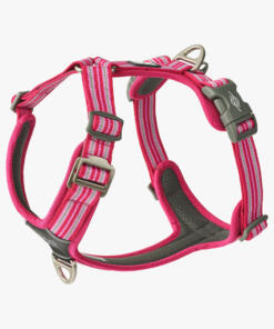 Comfort Walk Air tuig 3.0 41 Comfort Walk Air tuig 3.0 Wild Rose