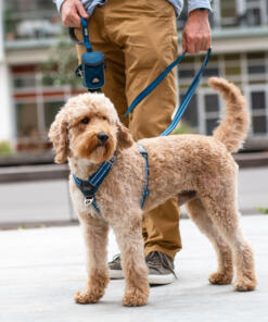 Comfort Walk Air tuig 3.0 28 Comfort Walk Air tuig 3.0