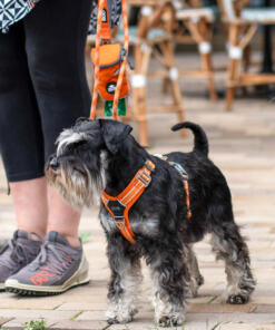 Comfort Walk Air tuig 3.0 34 Comfort Walk Air tuig 3.0