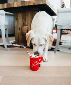 Hot Chocolate 18 Hot Chocolate