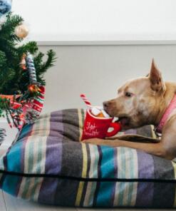 Hot Chocolate 17 Hot Chocolate