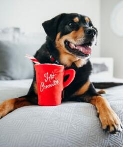 Hot Chocolate 16 Hot Chocolate