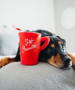 Hot Chocolate 14 Hot Chocolate