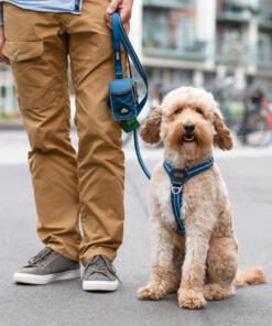 Pouch Organizer lijntas 2.0 27 Pouch Organizer Lijntas 2.0 Dog Copenhagen Tas voor aan de hondenlijn Lifestyle Pouch Organizer 2