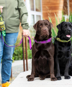 Urban Explorer Halsband 3.0 32 Urban Explorer Halsband 3.0