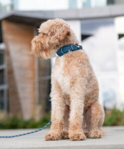 Urban Explorer Halsband 3.0 34 Urban Explorer Halsband 3.0