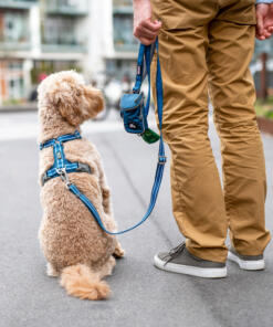 Urban Freestyle Lijn 3.0