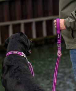 Urban Freestyle lijn 3.0 24 Urban Freestyle Lijn 3.0