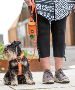 Urban Rope Lijn 3.0 31 Urban Rope Lijn 3.0 Dog Copenhagen lijn voor de hond Lifestyle Urban Rope Leash 5