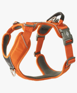 Comfort Walk Pro tuig 3.0 41 Comfort Walk Pro Tuig 3.0 Orange Sun