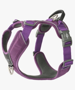 Comfort Walk Pro tuig 3.0 42 Comfort Walk Pro Tuig 3.0 Purple Passion