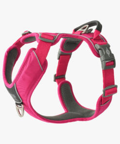 Comfort Walk Pro tuig 3.0 43 Comfort Walk Pro Tuig 3.0 Wild Rose