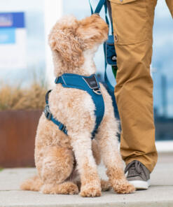 Comfort Walk Pro tuig 3.0 30 Comfort Walk Pro Tuig 3.0 Ocean Blue