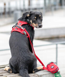 Comfort Walk Pro tuig 3.0 35 Comfort Walk Pro Tuig 3.0 Classic Red